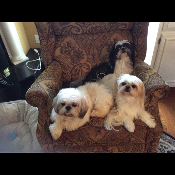 Meet your Posher, Cathy - Picture 3 of 8